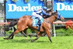 Memsie Stakes 2013 Tips & Selections