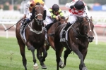 Preferment Leads 2016 The BMW Nominations