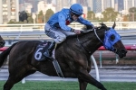 Mr Utopia Ready for 2015 Railway Stakes Back-Up