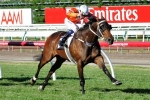 Star Rolling Ready for Piping Lane Handicap