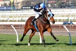 2013 Tasmanian Stakes Field Released