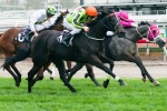 Commanding Jewel Leads 2014 WW Cockram Stakes Nominations