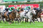 Turnbull Stakes 2013 Betting – Two Battle for Favouritism