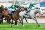 Puissance De Lune Trials Well Ahead of Spring Return