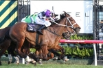 Amicus Takes Out Let’s Elope Stakes