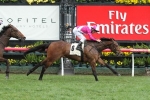 Heart Starter “The One” in 2016 Railway Stakes