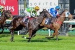 Commanding Jewel Odds-On Betting Favourite to Win 2014 Stocks Stakes
