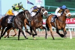 Can 1st Emergency Brambles Sneak in and Steal Caulfield Cup?