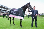 Can Lucia Valentina Beat Favourites’ Hoodoo in Caulfield Cup 2014?
