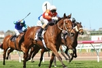 Who Shot Thebarman Can be Melbourne Cup Winner