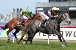 2015 Hong Kong Sprint Very Likely for Chautauqua