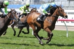 Sweet Sherry in Doubt for 2016 Thousand Guineas
