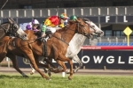 2013 Turnbull Stakes Results – Winner Happy Trails onto Cox Plate