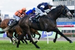 Will Fawkner Get The Distance In The 2013 Caulfield Cup?