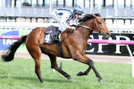 Amelie’s Star qualifies for Melbourne Cup with win in The Bart Cummings