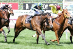 Keen Array back in winner’s stall with Gilgai Stakes victory