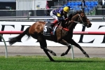 Niwot Tops 2013 Canberra Cup Field – Sunday Racing