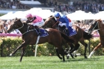 Flying Artie Posts Dominant Win in Coolmore Stud Stakes
