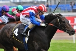 Lamasery Can Overcome Outside 2013 Doomben Cup Barrier Draw