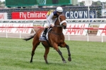 Dour Brambles on Track for Melbourne Cup 2014 Back-Up