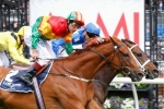 Happy Trails Primed for Mackinnon Stakes Defence