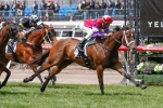 Hucklebuck Primed for Emirates Stakes