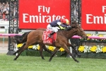 Who Rides Almandin In Melbourne Cup? Oliver Appeals Ban