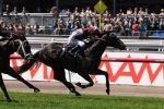 2013 Carbine Club Stakes Won By Paximadia – Flemington Results