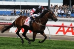 Polanski Included in 2014 Autumn Stakes Nominations
