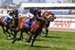 Not Listenin’tome May Wear Blinkers in 2014 Manikato Stakes