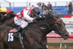 Awesome Rock Primed for 2016 Queen Elizabeth Stakes