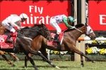 Max Dynamite Still on Melbourne Cup 2016 Mission