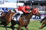 Hall Mark Stakes 2017 Field Features Redzel