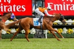 Rose Of Choice Will Run 2014 Villiers Stakes Despite Heavy Ground