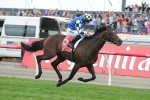 Protectionist to Return for 2016 Melbourne Cup