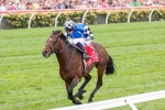 2015 Peter Young Stakes Field: Protectionist Returns