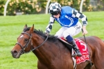 Protectionist’s Melbourne Cup Defence to Start in Chelmsford Stakes