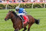 Protectionist Under 2015 Peter Young Stakes Odds Says Lees