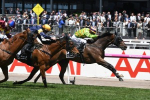 Melbourne Cup Next for Lexus Stakes Winner Cismontane