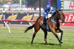 Ipswich Cup On the Cards for Veteran Ironstein