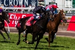 2013 Melbourne Cup Quinella, Trifecta & First Four Results
