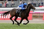 Francis Of Assisi demolishes the Queen Elizabeth Stakes Field