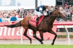 Green Moon Likely to Target 2014 Caulfield Cup