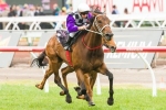 2014 Adrian Knox Stakes Nominations Feature Oaks Hopes