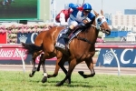 2013 Queensland Oaks Form Guide & Betting Preview