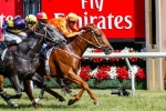 Pride Duo Dominate 2015 TJ Smith Stakes Betting