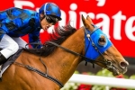 The ‘Real’ Buffering to Show Up in Doomben 10,000 2014