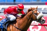 Tight 2014 Gold Coast Guineas Betting Market