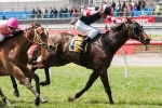 2013 VRC Sires Produce Stakes Betting Tips
