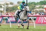 Puissance De Lune On Track for 2013 Melbourne Cup Bid